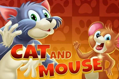 Cat and Mouse